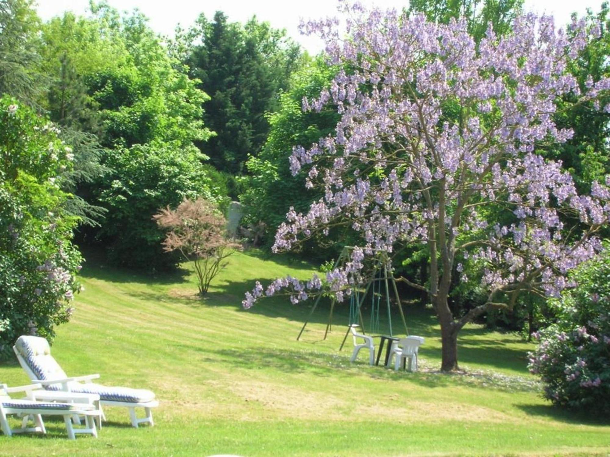 Tavers Charme Au Coeur Des Chateaux De La Loire Avec Wifi - Fr-1-590-305 Bed & Breakfast エクステリア 写真